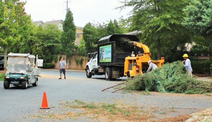 Commercial Tree Services-Lantana Tree Trimming and Tree Removal Services-We Offer Tree Trimming Services, Tree Removal, Tree Pruning, Tree Cutting, Residential and Commercial Tree Trimming Services, Storm Damage, Emergency Tree Removal, Land Clearing, Tree Companies, Tree Care Service, Stump Grinding, and we're the Best Tree Trimming Company Near You Guaranteed!