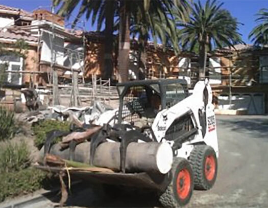 Palm Tree Removal-Lantana Tree Trimming and Tree Removal Services-We Offer Tree Trimming Services, Tree Removal, Tree Pruning, Tree Cutting, Residential and Commercial Tree Trimming Services, Storm Damage, Emergency Tree Removal, Land Clearing, Tree Companies, Tree Care Service, Stump Grinding, and we're the Best Tree Trimming Company Near You Guaranteed!