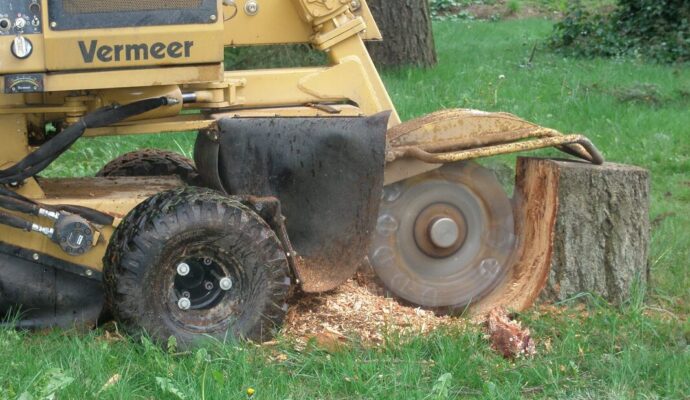 Stump Grinding & Removal-Lantana Tree Trimming and Tree Removal Services-We Offer Tree Trimming Services, Tree Removal, Tree Pruning, Tree Cutting, Residential and Commercial Tree Trimming Services, Storm Damage, Emergency Tree Removal, Land Clearing, Tree Companies, Tree Care Service, Stump Grinding, and we're the Best Tree Trimming Company Near You Guaranteed!