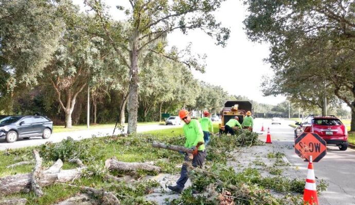 Commercial Tree Services Affordable-Pro Tree Trimming & Removal Team of Lantana