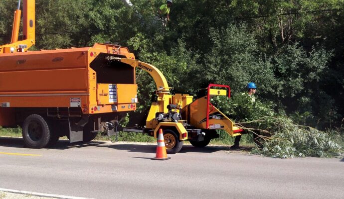 Commercial Tree Services Near Me-Pro Tree Trimming & Removal Team of Lantana