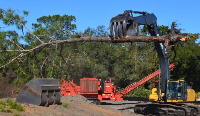 Lantana Land Clearing-Pro Tree Trimming & Removal Team of Lantana