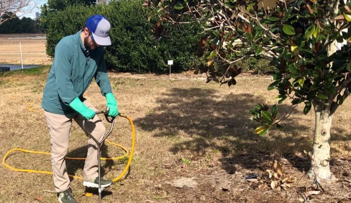 Deep Root Injection Experts-Pro Tree Trimming & Removal Team of Lantana