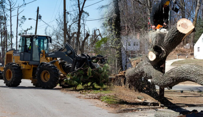 Emergency Tree Removal Experts-Pro Tree Trimming & Removal Team of Lantana