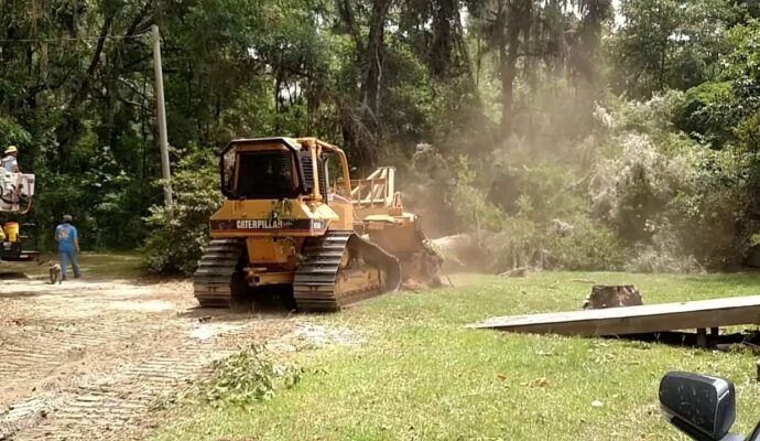 Land Clearing Experts-Pro Tree Trimming & Removal Team of Lantana