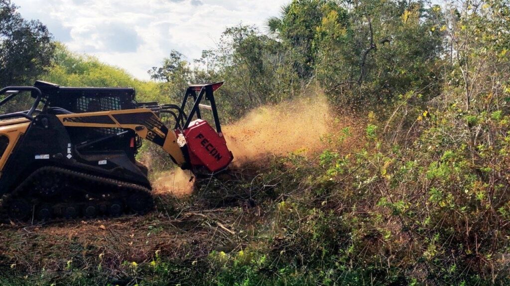 Land Clearing-Pros-Pro Tree Trimming & Removal Team of Lantana