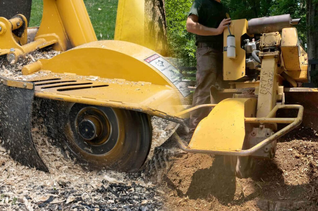 Stump Grinding & Removal Experts-Pro Tree Trimming & Removal Team of Lantana
