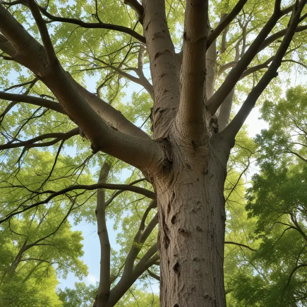 Adapting Tree Care to Climate Change: Strategies for Resilient Landscapes