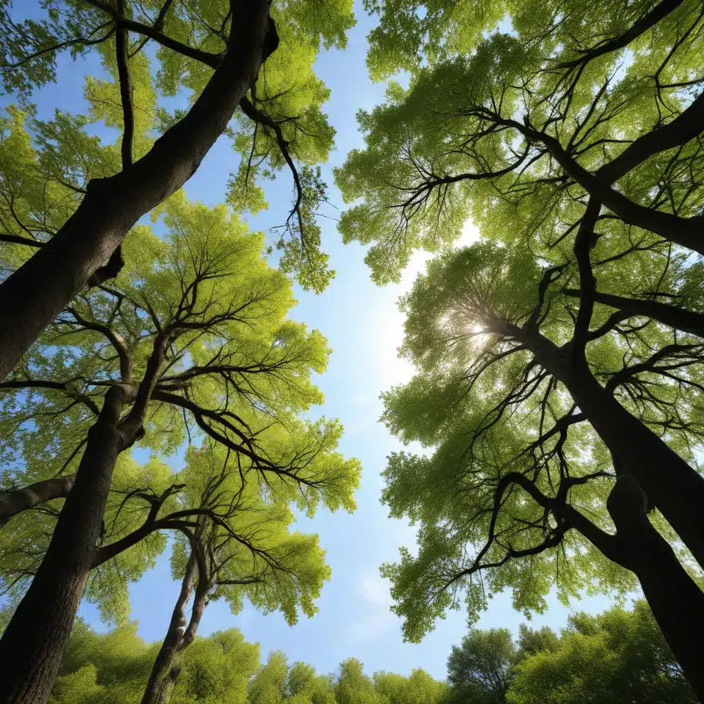 Adapting to Climate Change: Tree Selection for a Resilient Landscape
