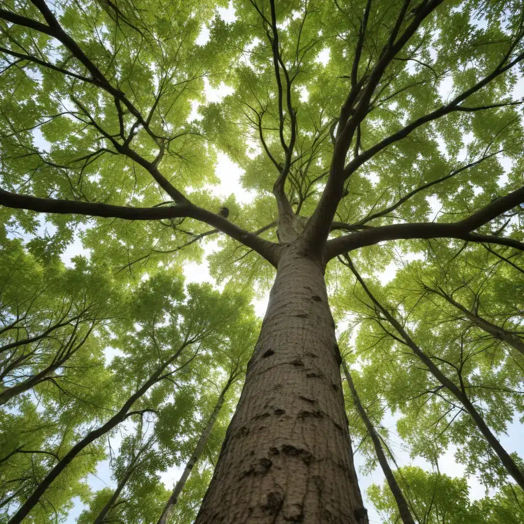 Adapting to Climate Change: Tree Species Selection for a Resilient Future