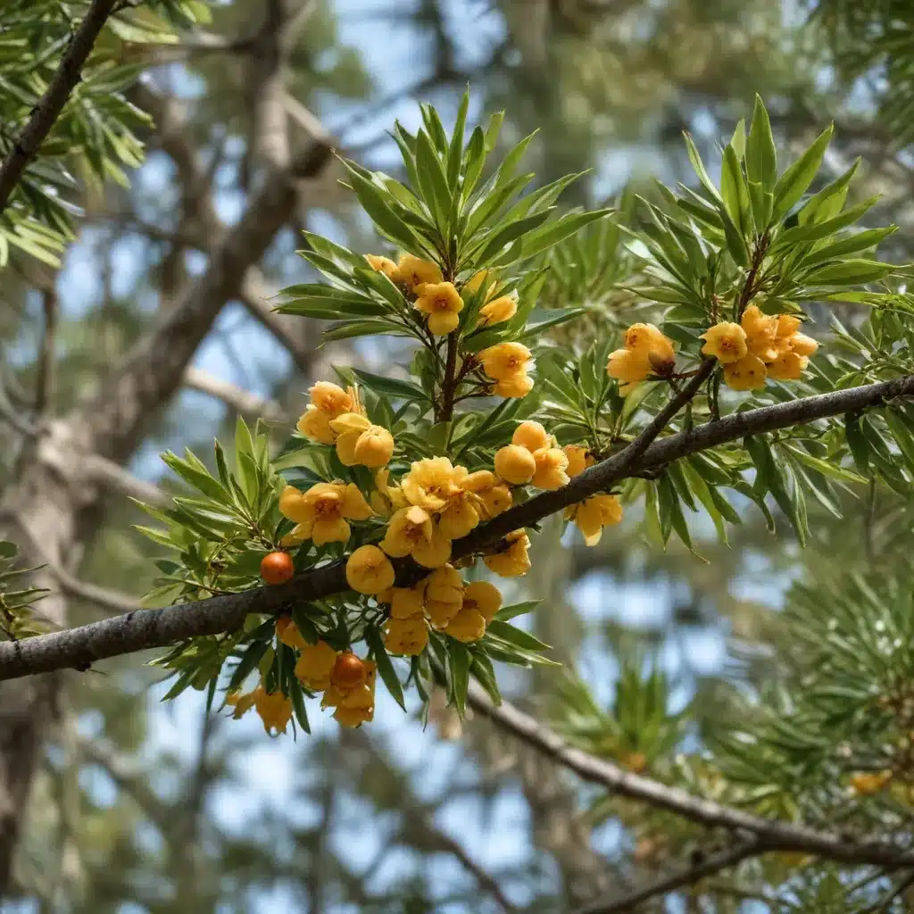 Attracting Wildlife: Native Trees that Support Florida’s Diverse Ecosystem
