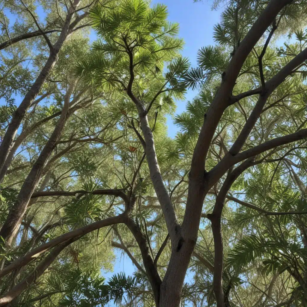 Attracting Wildlife: Native Trees that Support Florida’s Diverse Ecosystem
