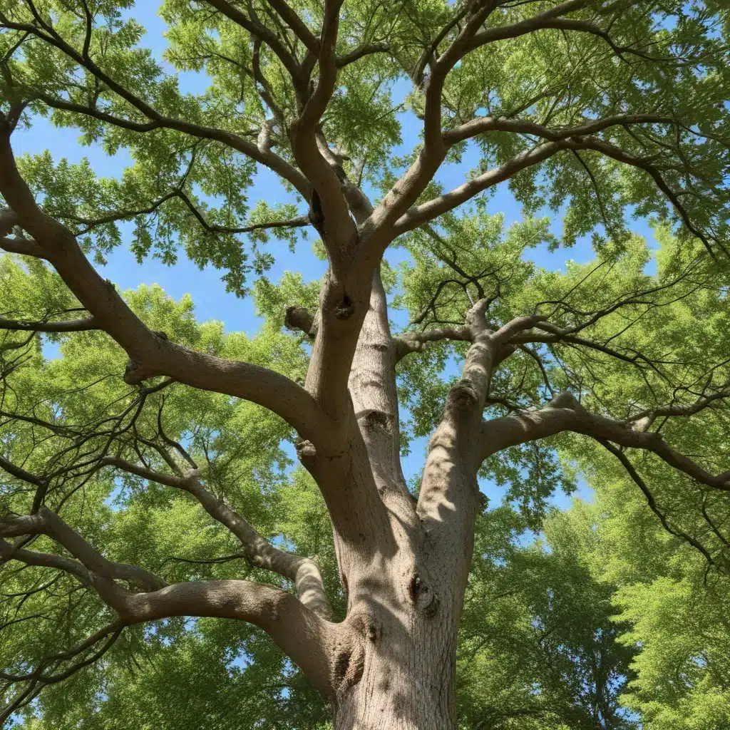 Branching Out: Diversifying Your Landscape with a Variety of Tree Species