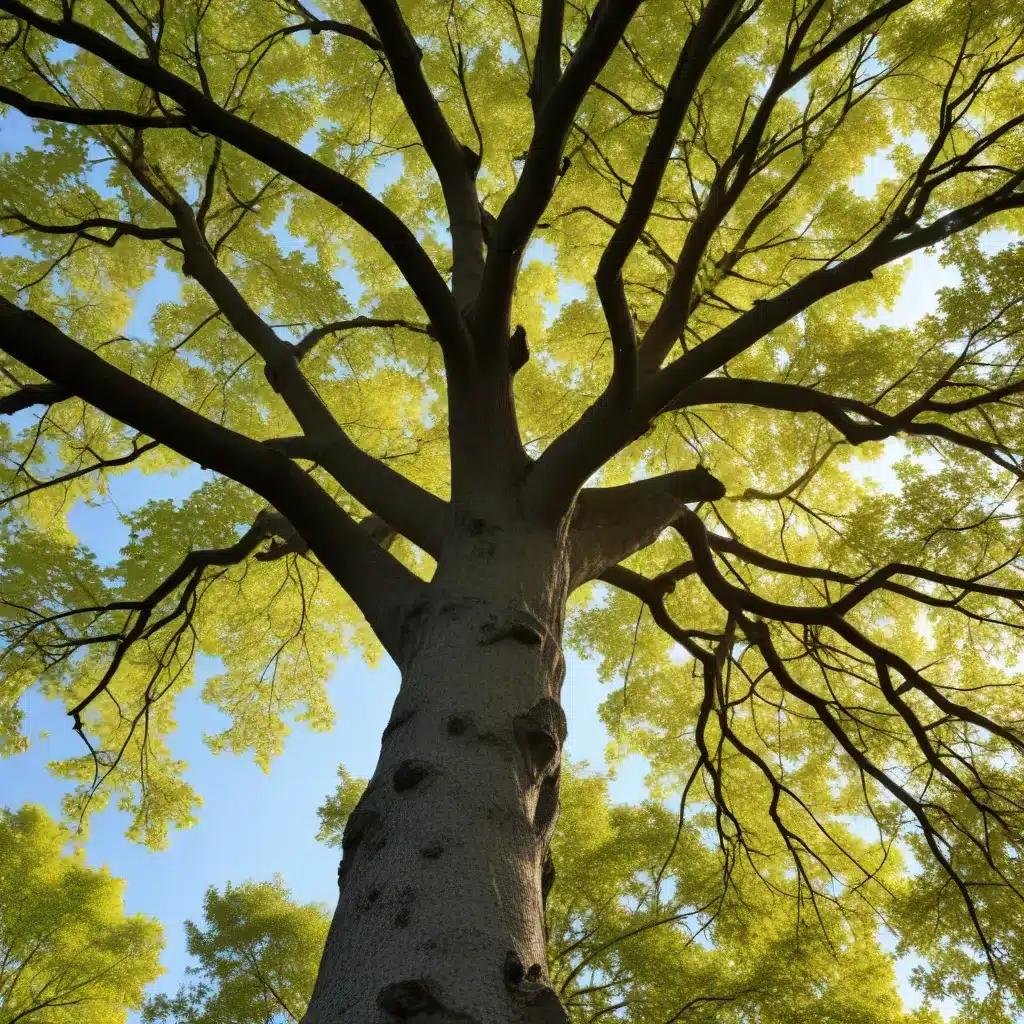 Branching Out: Exploring the Intersection of Trees and Renewable Energy Systems