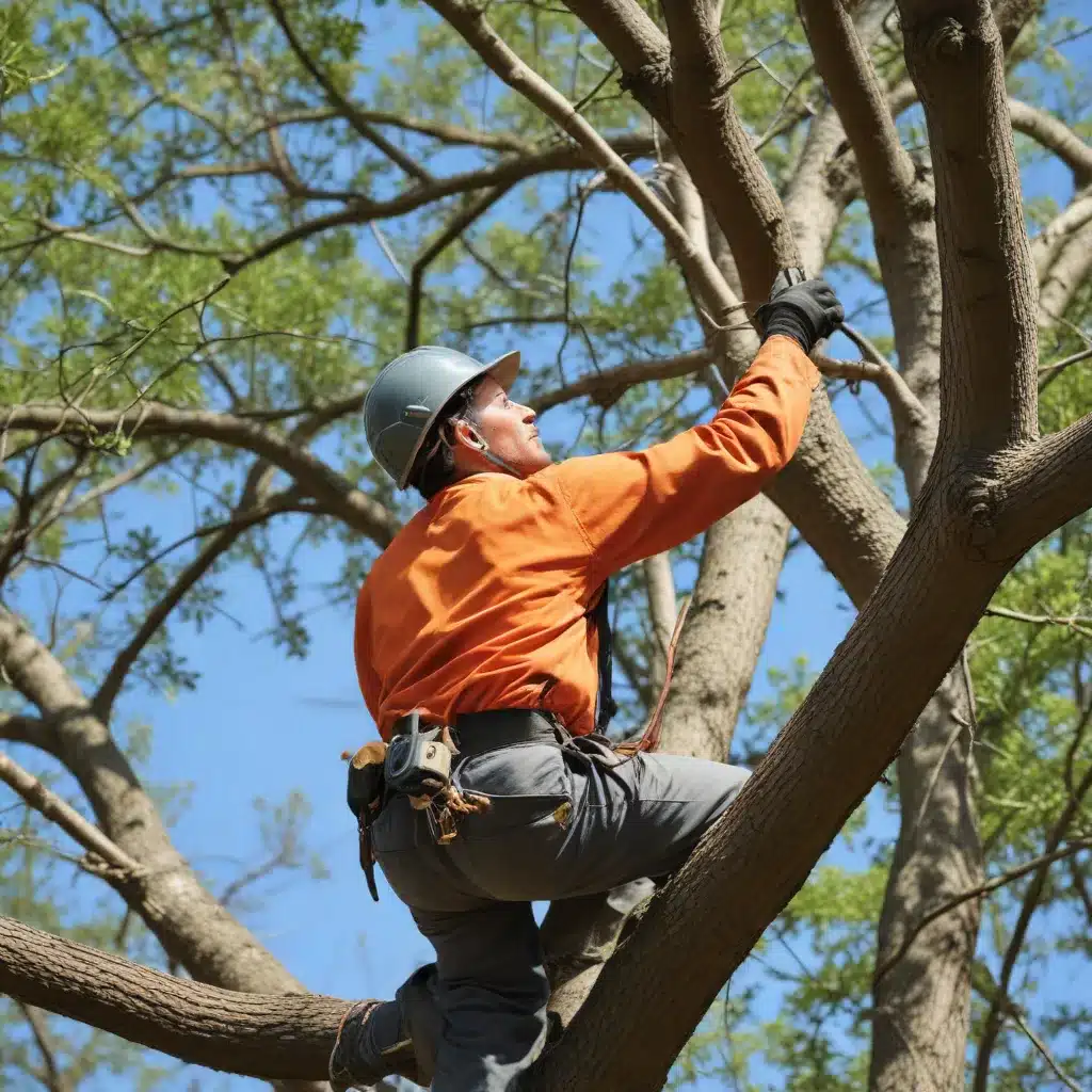 Branching Out: Mastering the Art of Tree Pruning for Structural Integrity