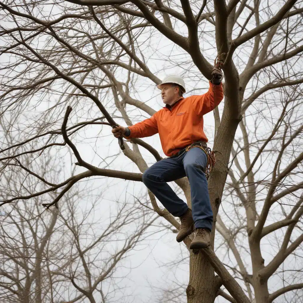 Branching Out: Mastering the Art of Tree Pruning for Structural Integrity and Beauty