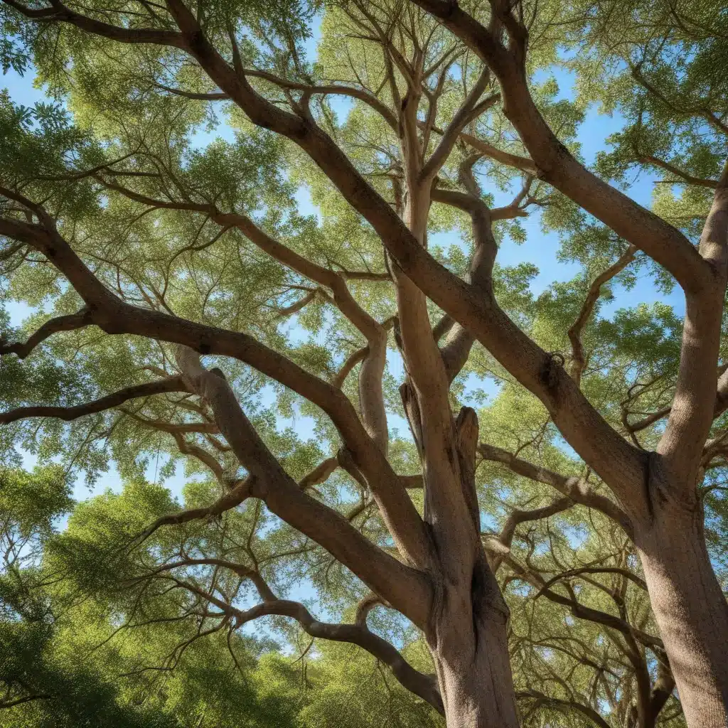 Branching Out: Selecting the Right Trees for Commercial and Business Properties in Florida