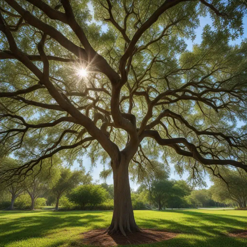 Branching Out: Selecting the Right Trees for Your Florida Landscape