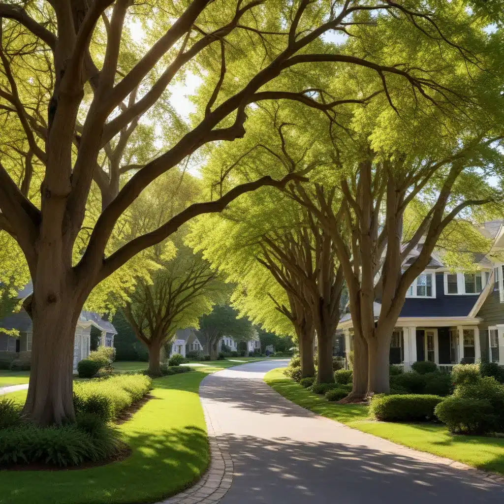 Branching Out: Selecting the Right Trees to Enhance Property Values and Curb Appeal