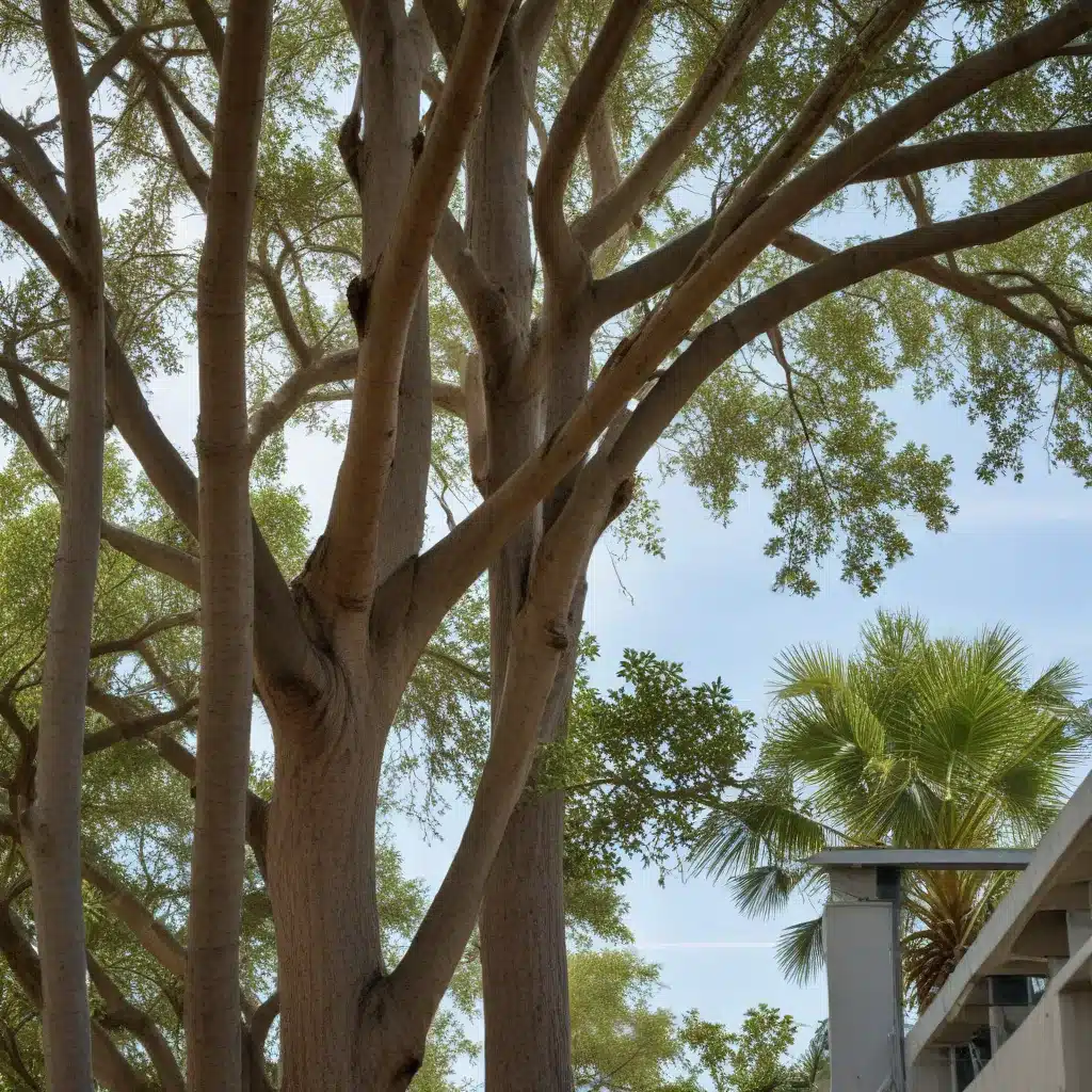 Branching Out: Strategies for Protecting Trees During Construction in Florida