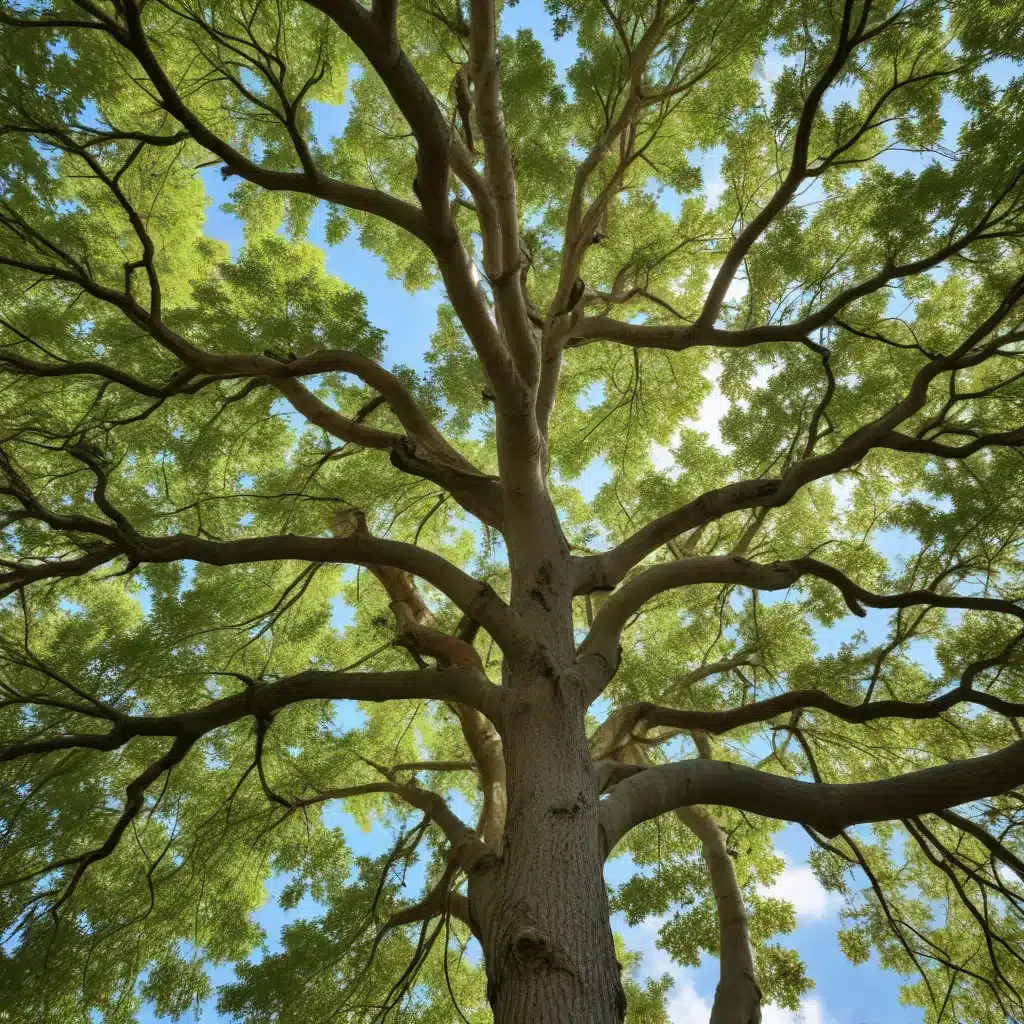 Branching Out: Sustainable Tree Care Practices for a Changing Climate