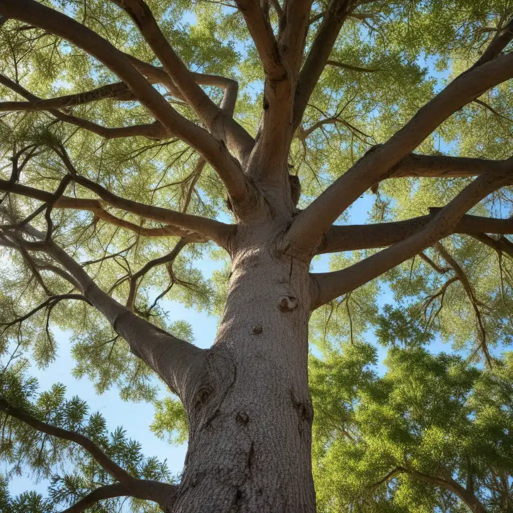 Branching Out: The Benefits of Tree Preservation in Florida Communities