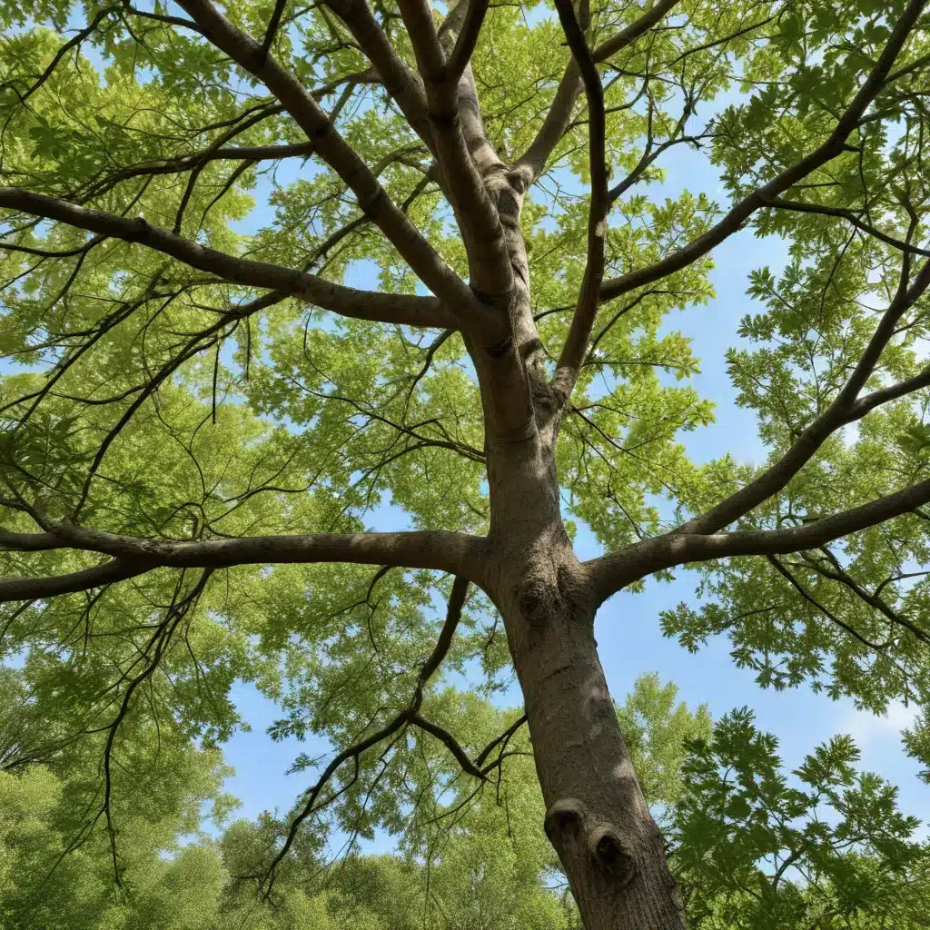 Branching into Biodiversity: Incorporating Native Trees to Support Local Ecosystems