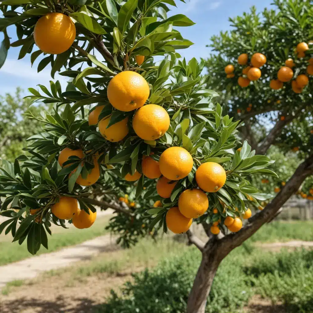 Combating Citrus Canker: Effective Strategies to Protect Your Citrus Trees