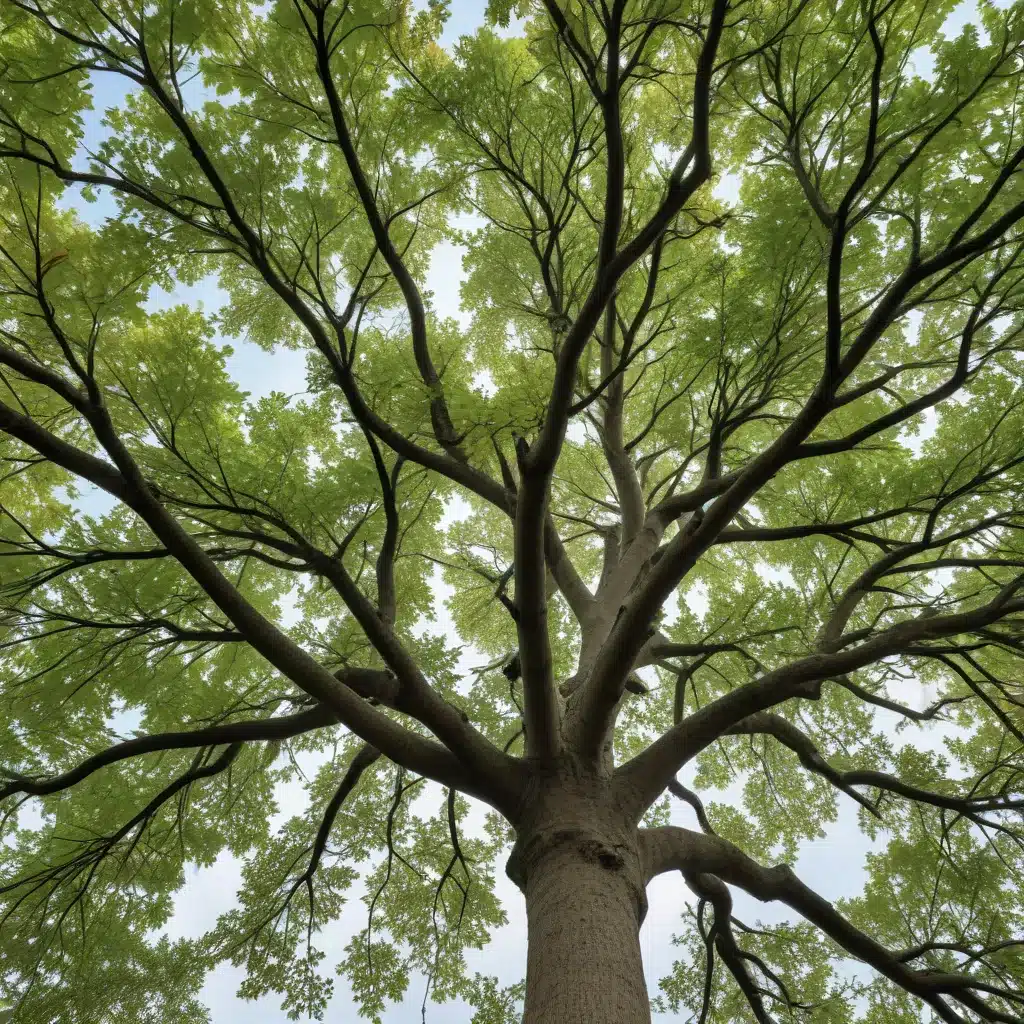 Combating Climate Change: The Vital Role of Trees in Commercial Property Resilience