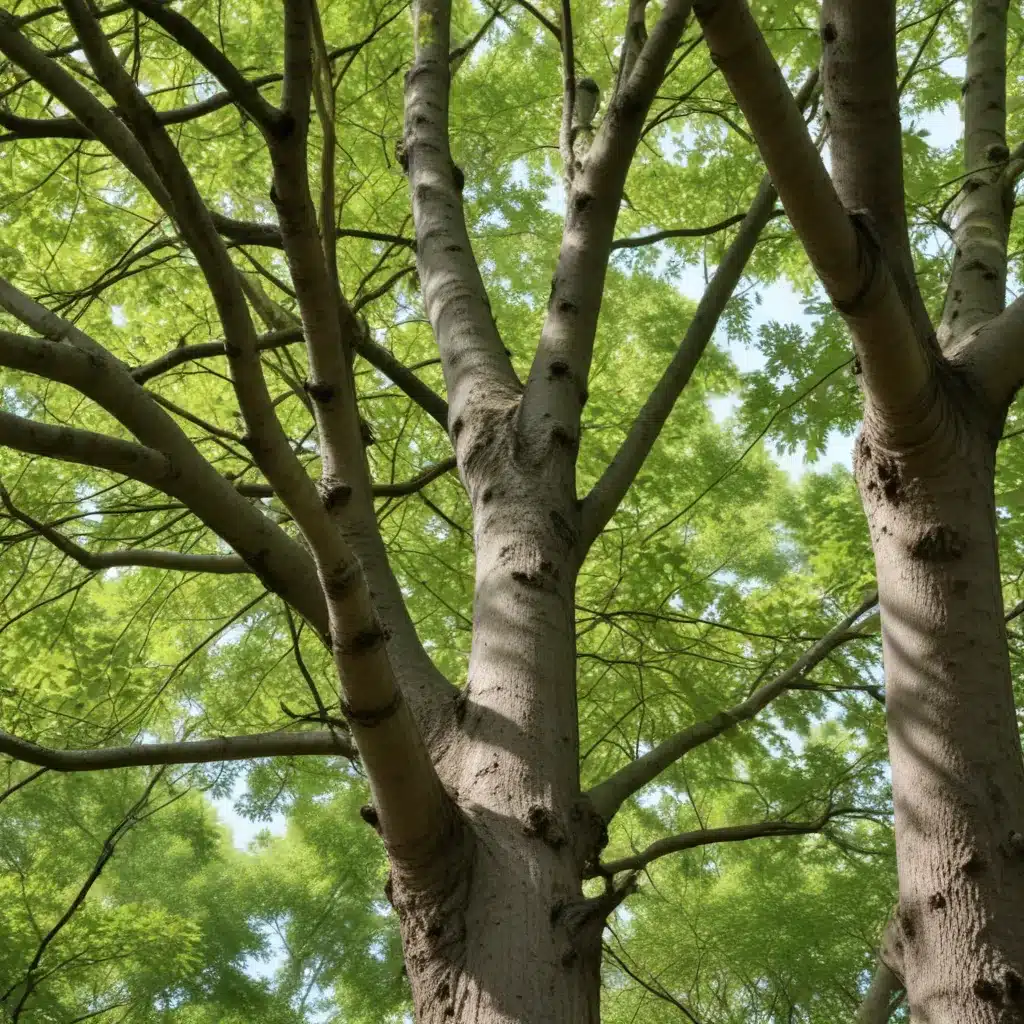 Combating Invasive Tree Species: Strategies for Effective Management and Control