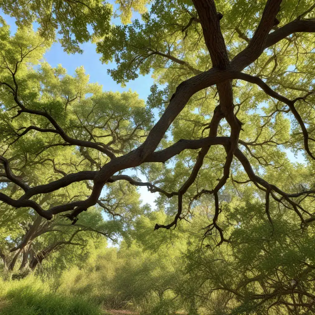 Combating Oak Wilt: Protecting Your Prized Oak Trees from this Deadly Disease