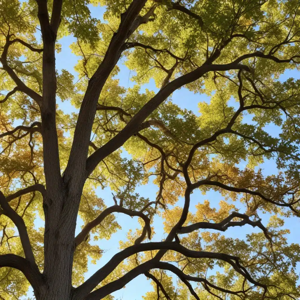 Combating Oak Wilt: Protecting Your Prized Oak Trees from this Devastating Disease