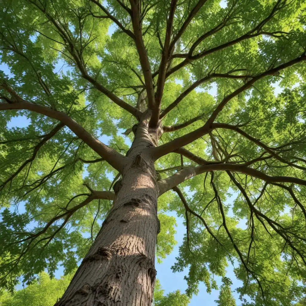 Cultivating Lush, Healthy Trees: A Guide to Expert Tree Maintenance Practices