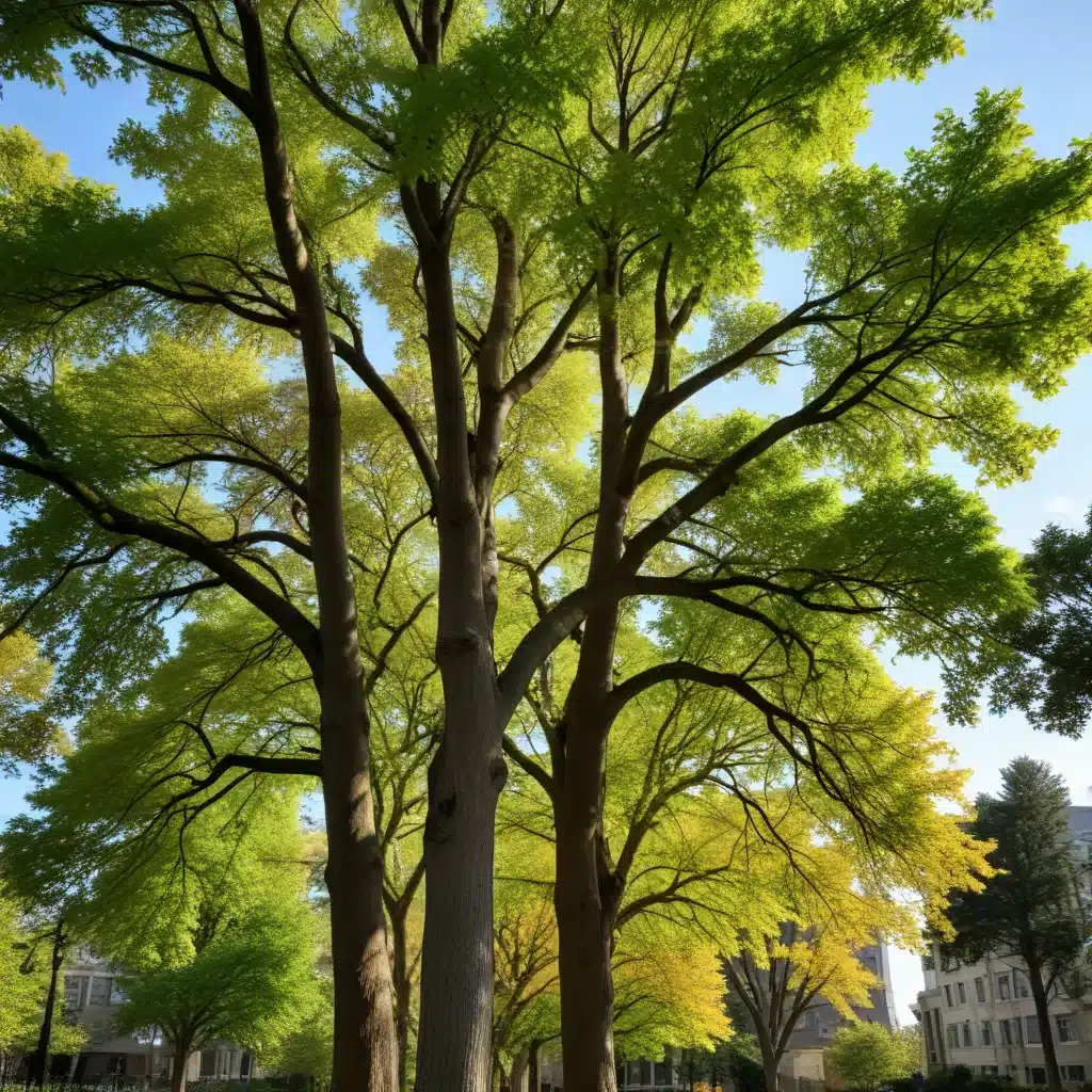 Cultivating a Diverse Urban Forest: Selecting the Right Trees for Your Property