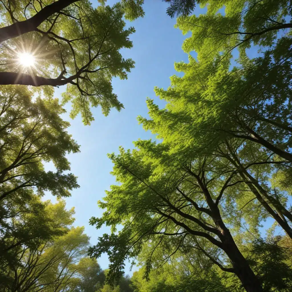 Cultivating a Lush, Thriving Landscape: The Transformative Power of Tree Care