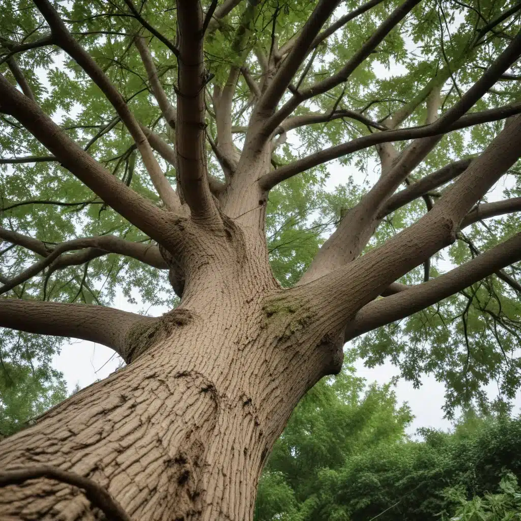 Disaster-Proof Your Landscape: Essential Tree Maintenance for Storm Preparedness