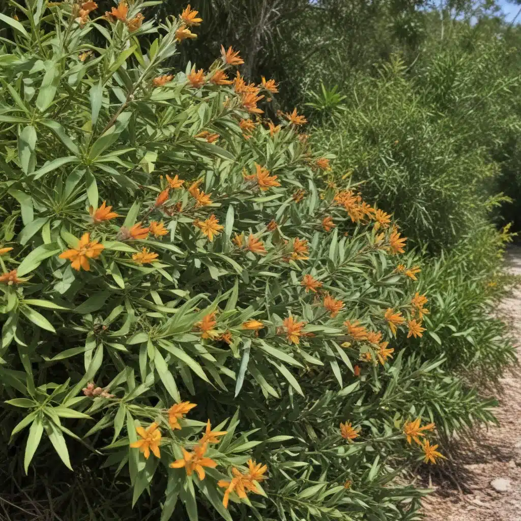 Drought-Resistant Natives: Celebrating Florida’s Resilient Plant Heritage
