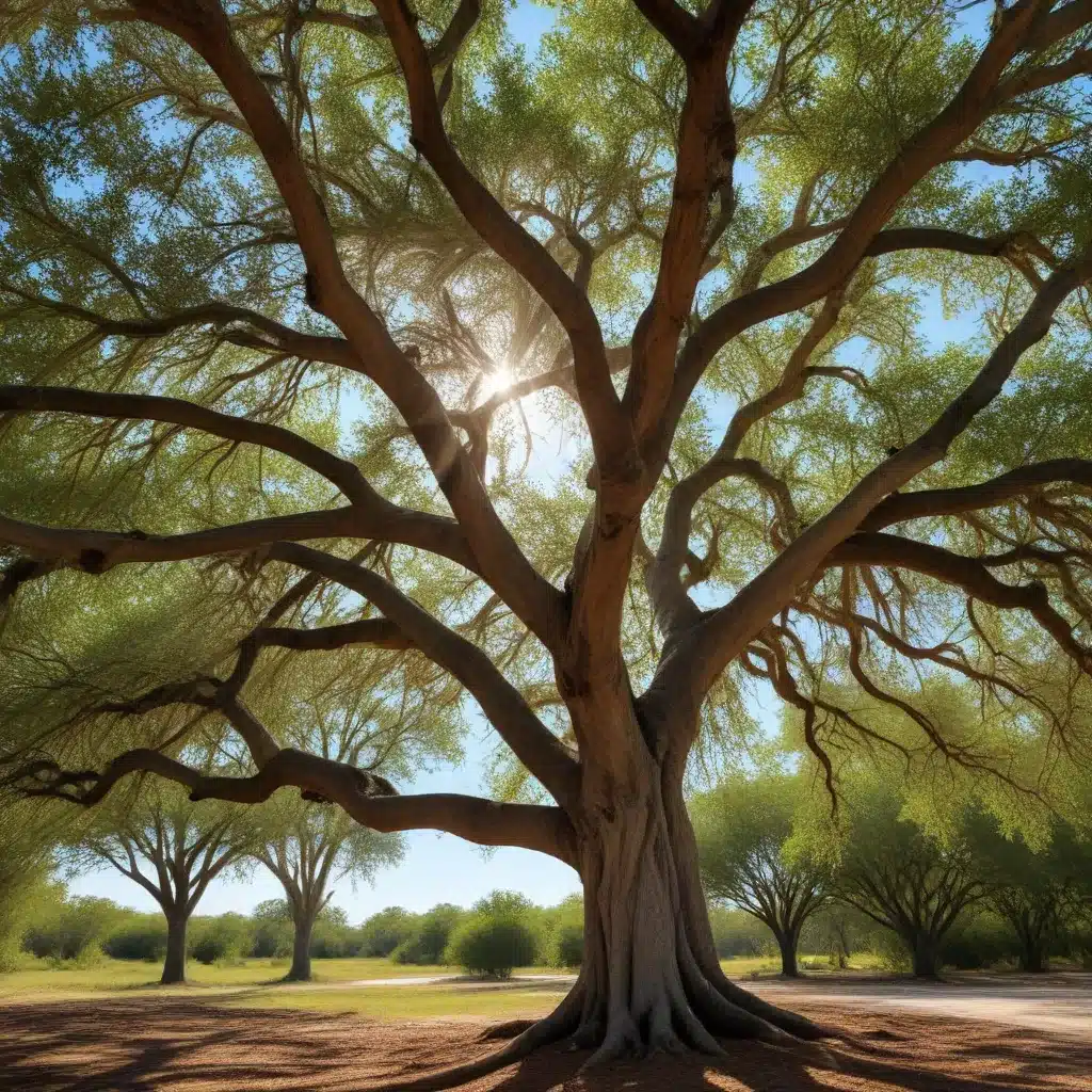 Drought-Tolerant Trees: Ensuring a Lush Landscape in Dry Florida Conditions