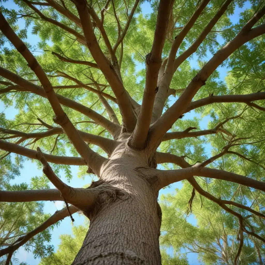 Eco-Friendly Tree Care: Sustainable Practices for a Greener Florida