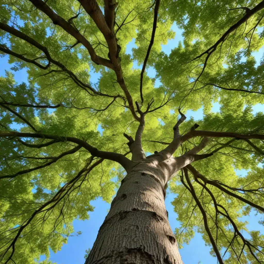 Eco-Friendly Tree Care: Sustainable Practices for a Healthier Urban Forest