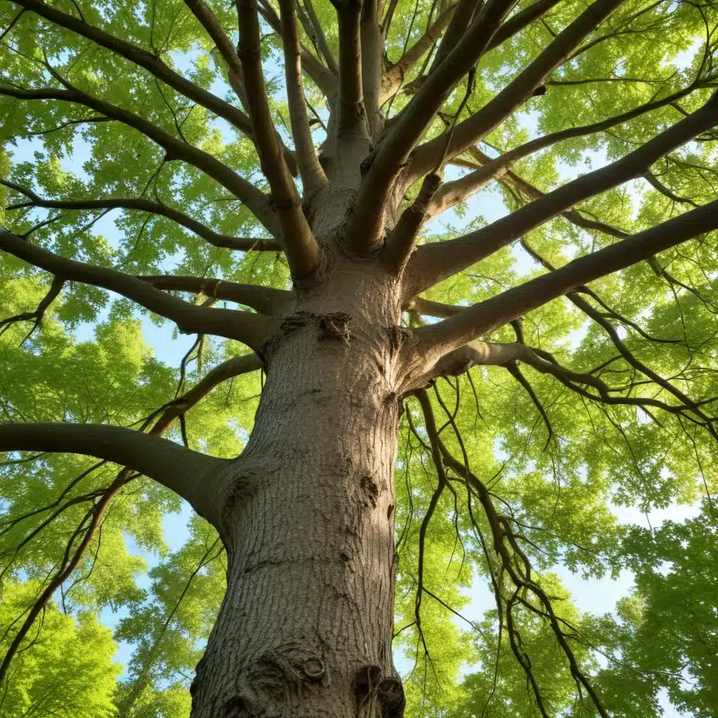 Embracing Eco-Friendly Tree Care: Sustainable Practices for a Greener Future
