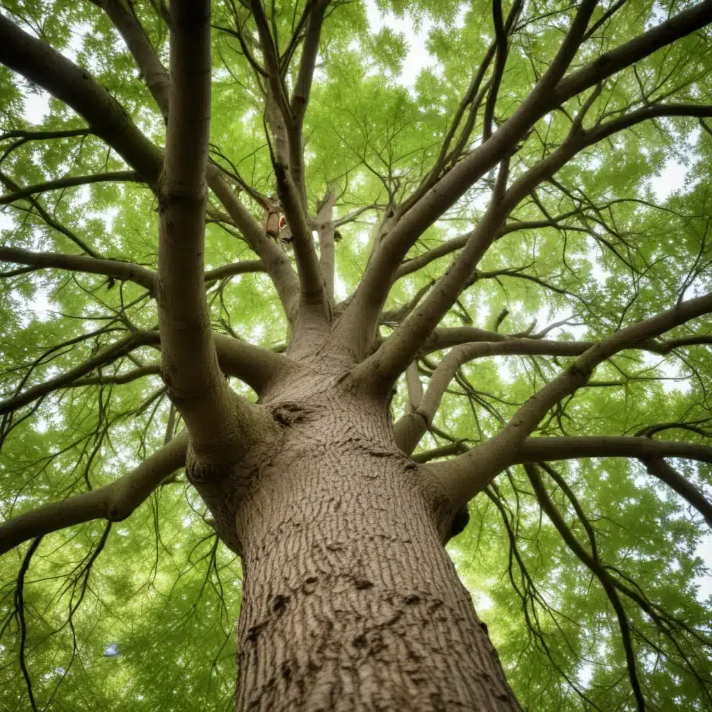 Embracing Eco-Friendly Tree Care: Sustainable Practices for a Greener Future