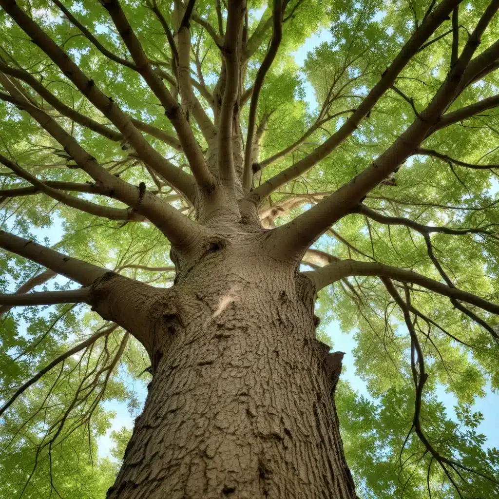 Embracing Eco-Friendly Tree Care: Sustainable Practices for a Greener Future