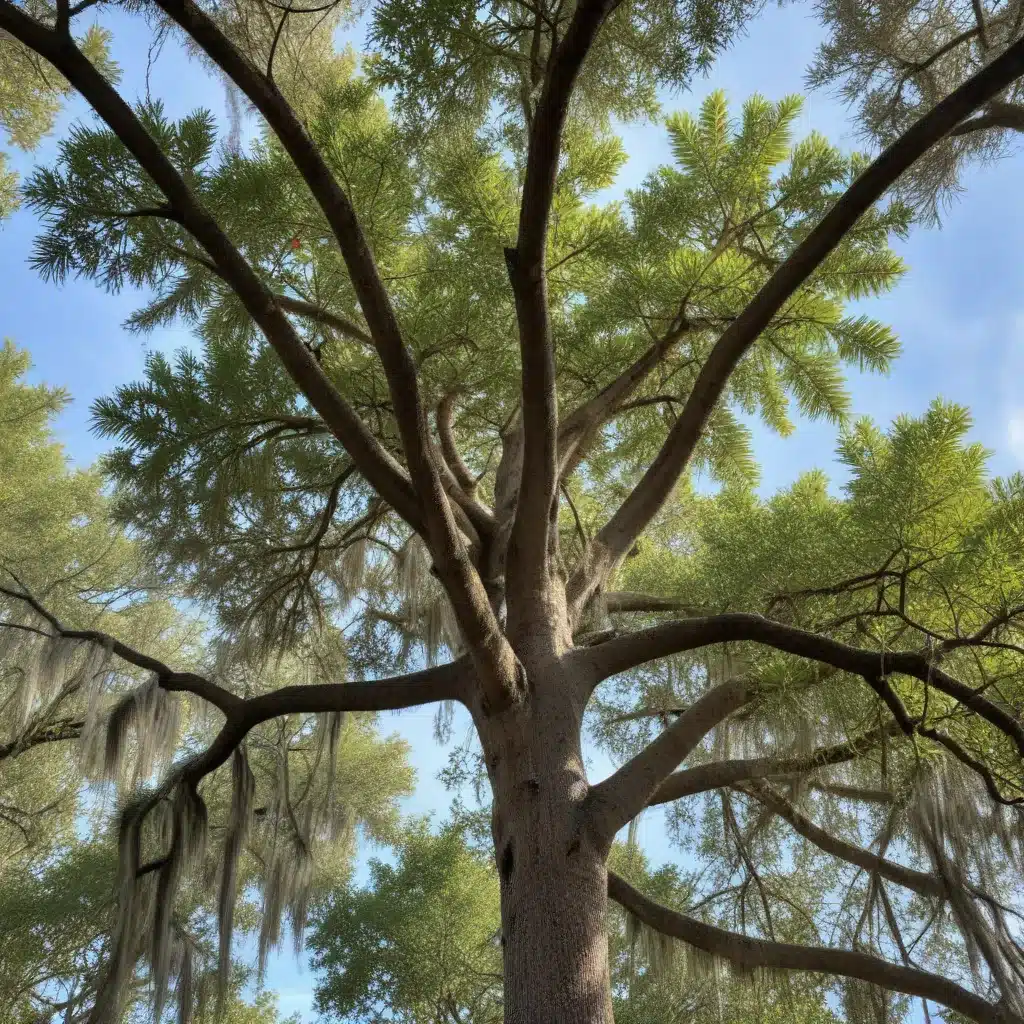 Embracing Florida’s Native Trees: Celebrating Local Flora and Fauna