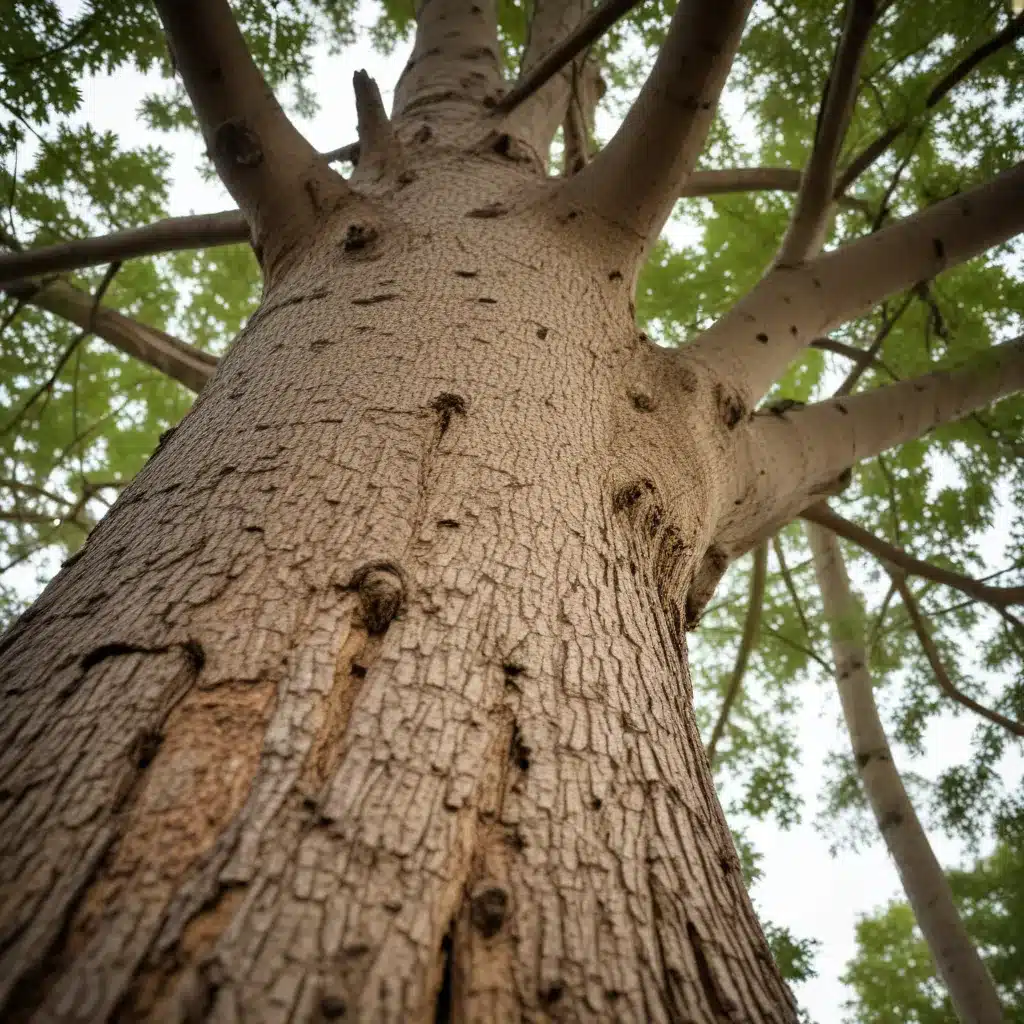 Embracing Integrated Pest Management: Sustainable Strategies for Protecting Commercial Trees