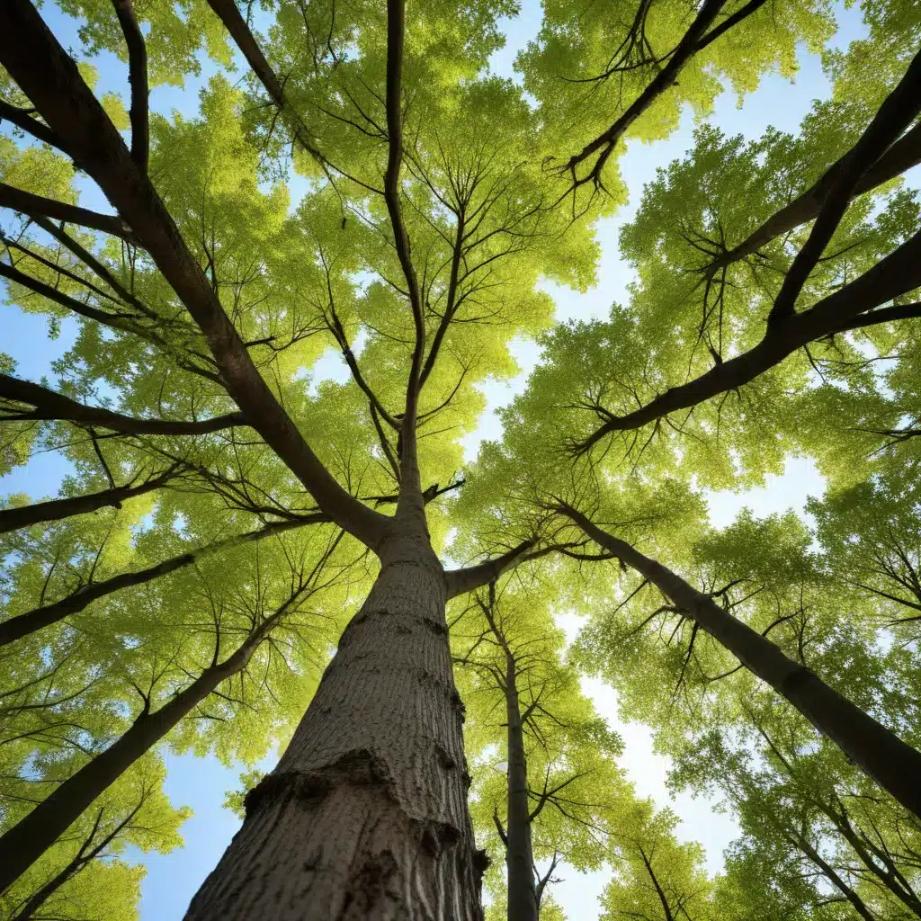 Embracing the Power of Trees: Harnessing Their Benefits for Your Business