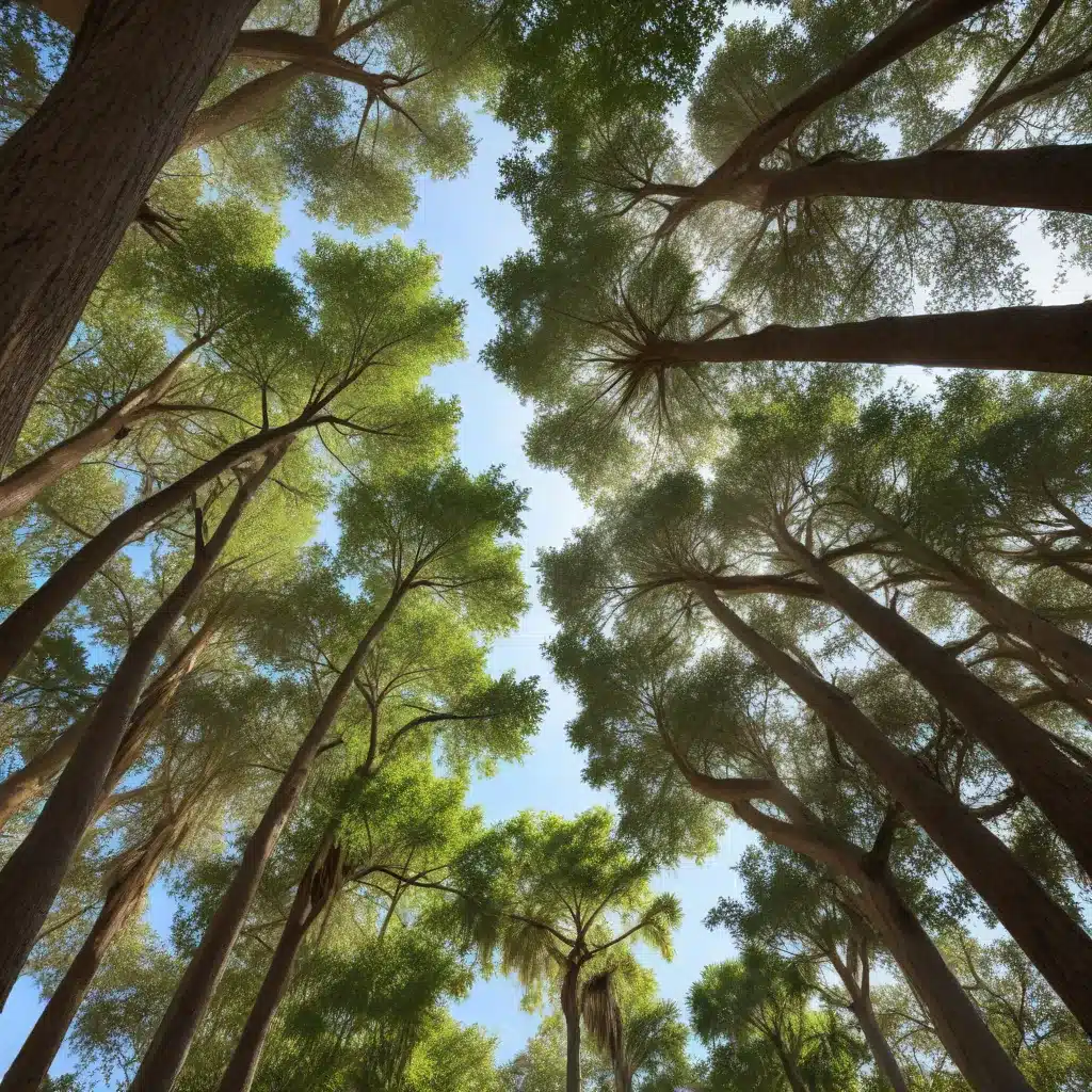 Embracing the Therapeutic Benefits of Trees in Florida’s Urban Spaces