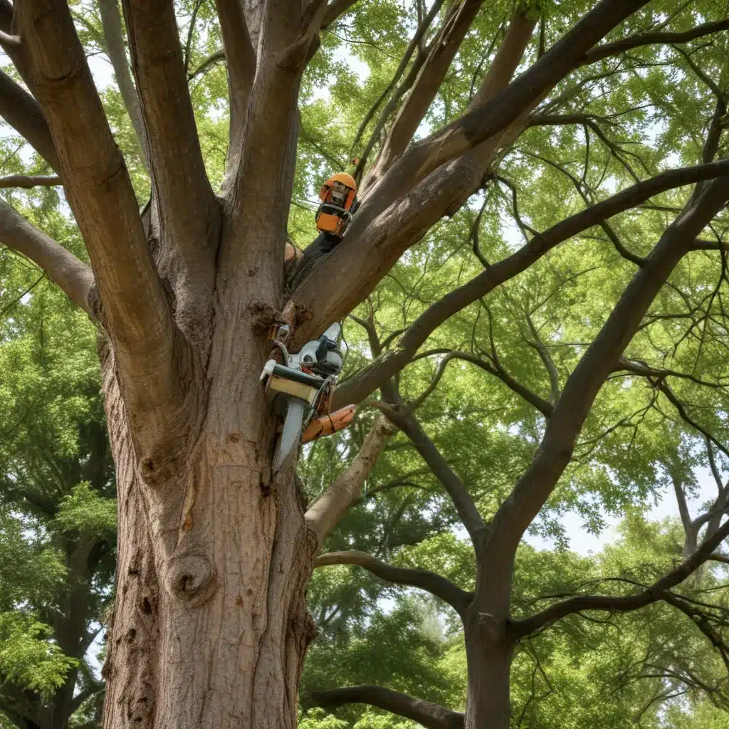 Enhancing Curb Appeal: Leveraging Tree Services for Aesthetic Transformation