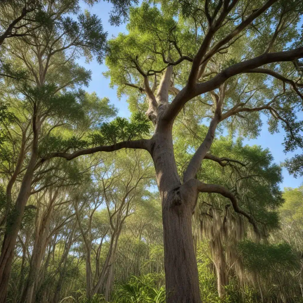 Fostering Biodiversity: The Role of Native Trees in Florida Ecosystems