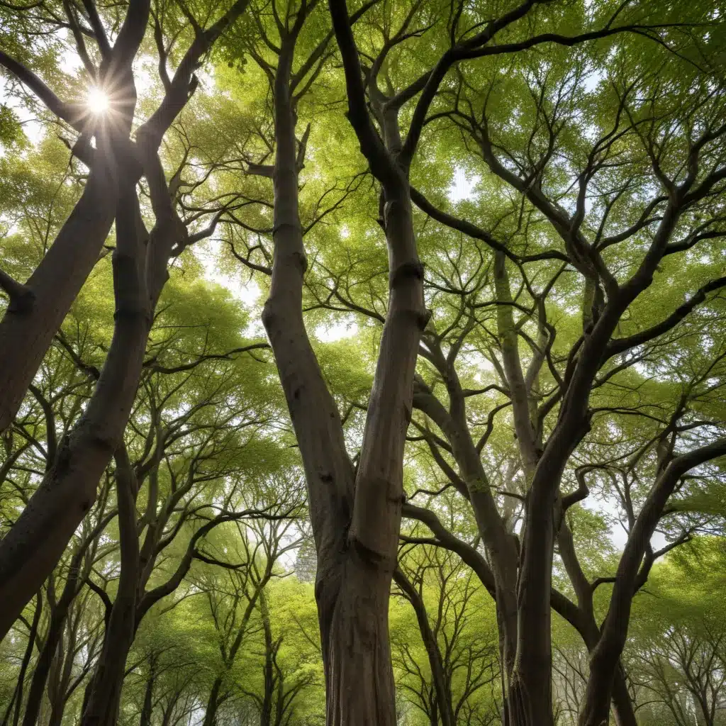 Fostering Urban Biodiversity: The Vital Role of Trees in Ecological Conservation